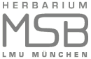 MSB