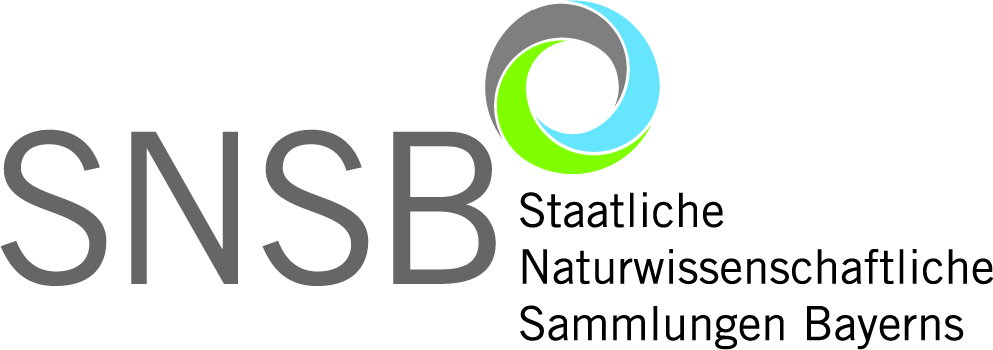 SNSB