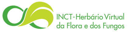 to the INCT - Herbario Virtual Portal